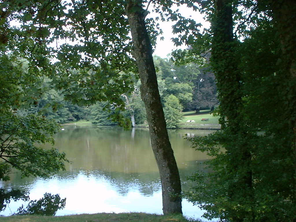 Etang