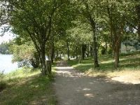 Chemin