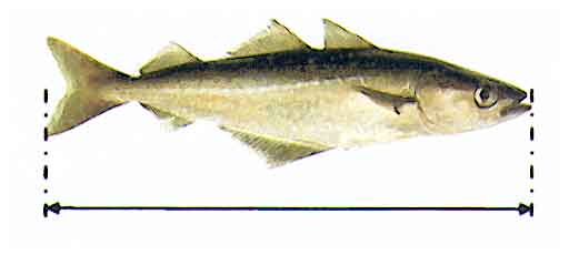 longpoisson